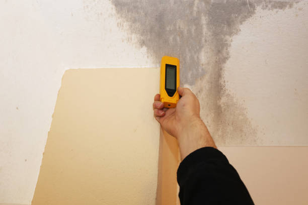 Best Mold Prevention Services  in Averill Park, NY