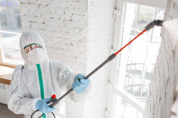 Best Mold Removal for HVAC Installations  in Averill Park, NY